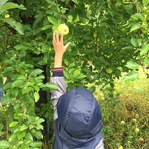 Meet your Posher, Arifa